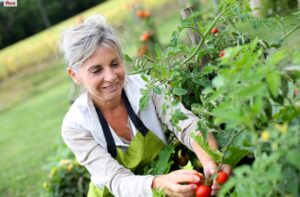Beneficios de la jardinería