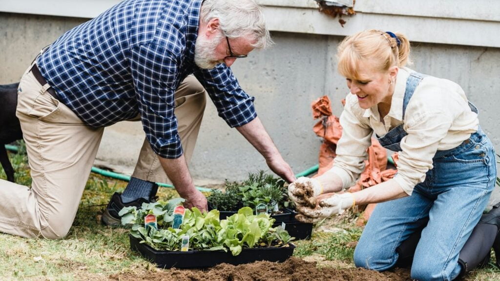 Encontrando la inspiración en la naturaleza: jardinería