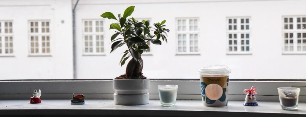 El Feng Shui en tu casa