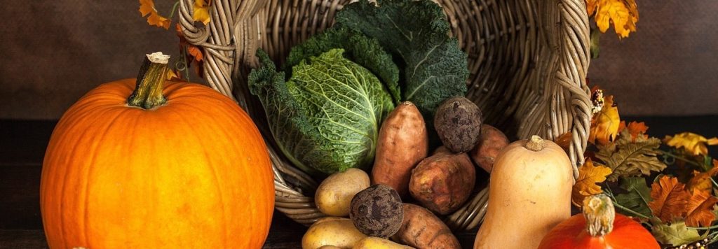 ¿Qué es el veganismo?