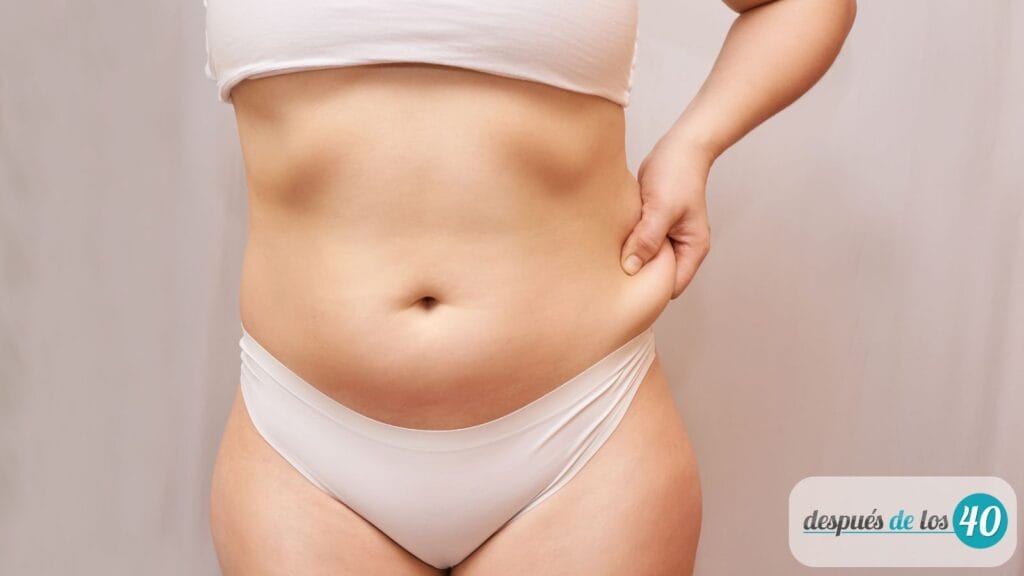 Por Qué la Grasa Abdominal es Diferente en las Mujeres