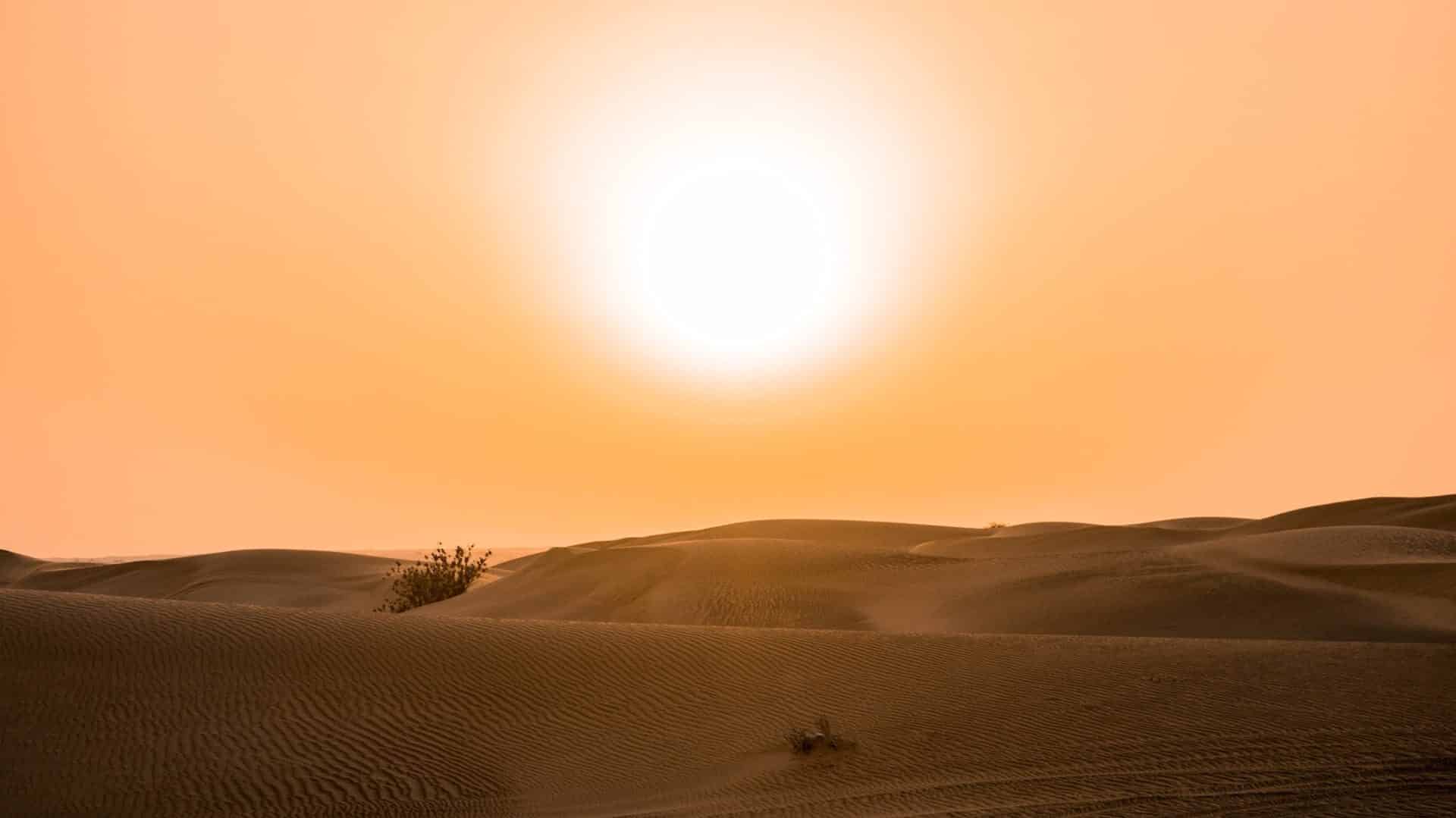 ¿A qué temperaturas el cuerpo humano es capaz de resistir?
