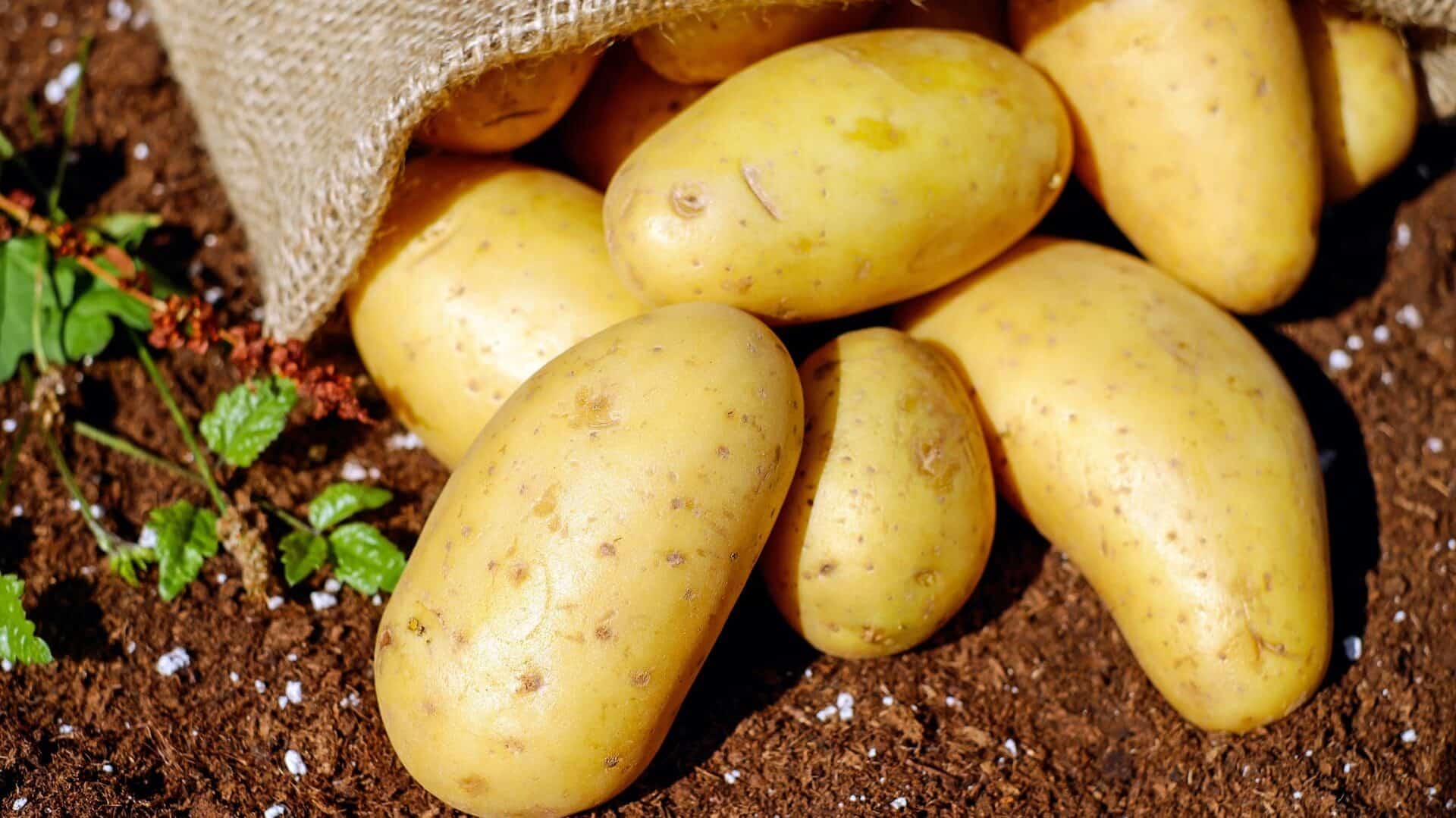 Descubre los 11 alimentos con carbohidratos que no engordan. ¡Aprende a comer sano hoy mismo!