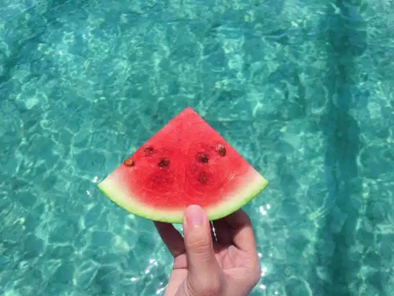 Que alimentos comer en verano para no engordar