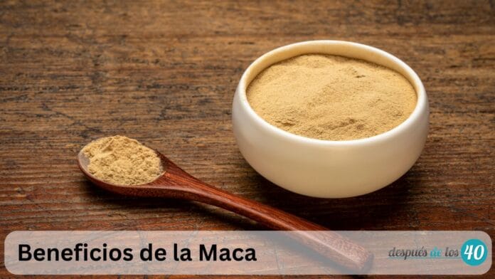 Maca: 7 Beneficios para la Salud Masculina Después de los 40