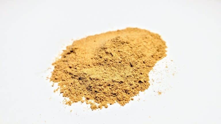 Descubre los 9 increíbles beneficios de salud del Ginseng: ¡Aumenta tu energía y bienestar ahora mismo!