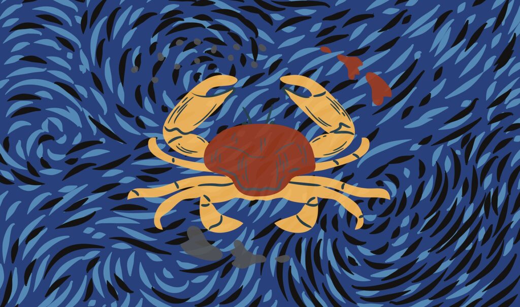 Características en adultos según su signo del zodiaco - Cancer